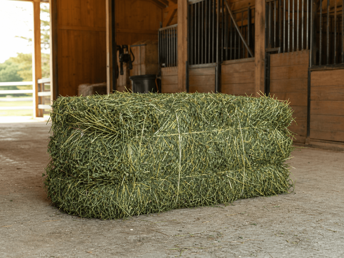Premium Alfalfa Bale
