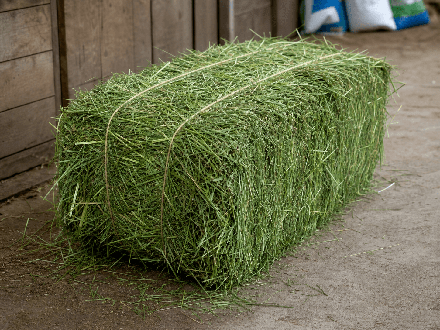Orchard Grass Bale